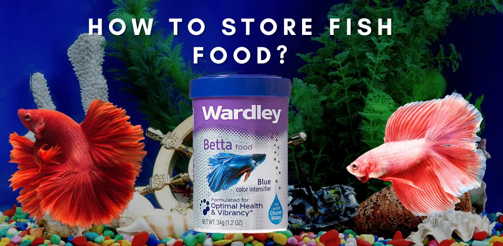 How To Store Fish Food?