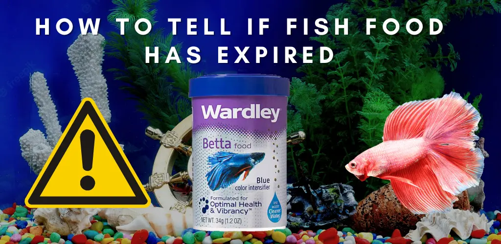 How To Tell If Fish Food Has Expired