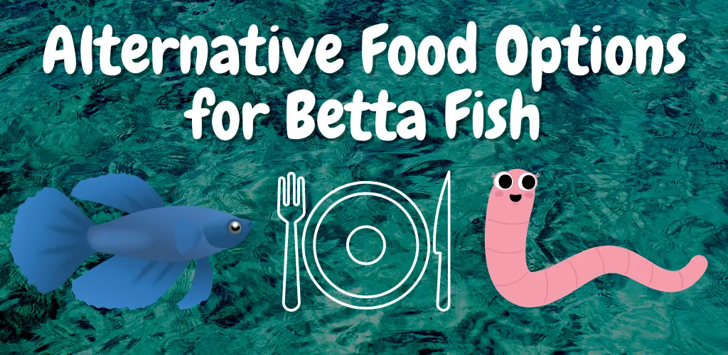 Alternative Food Options for Betta Fish