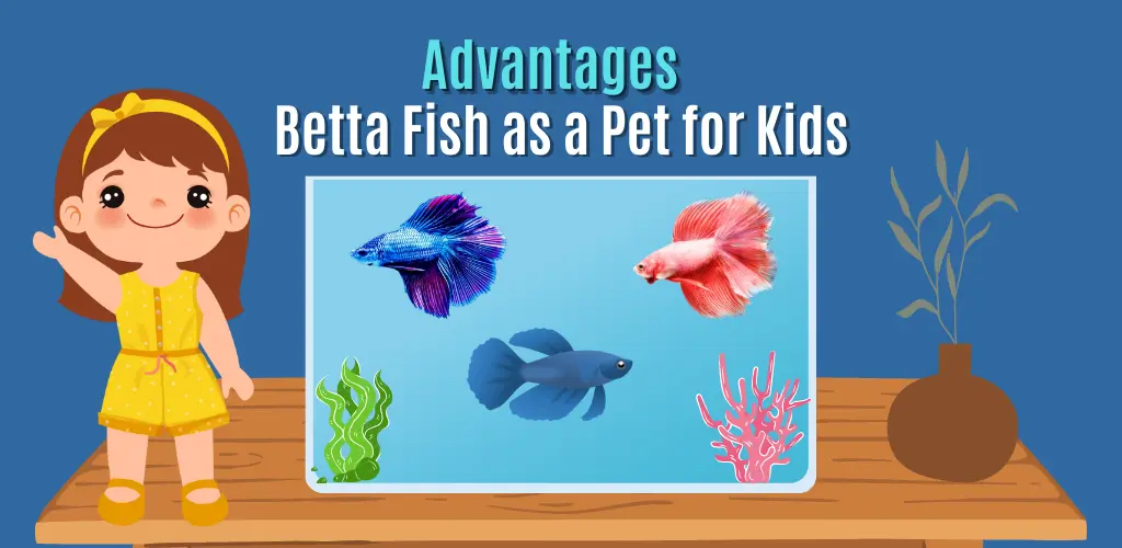 Advantages of Betta Fish as a Pet for Kids