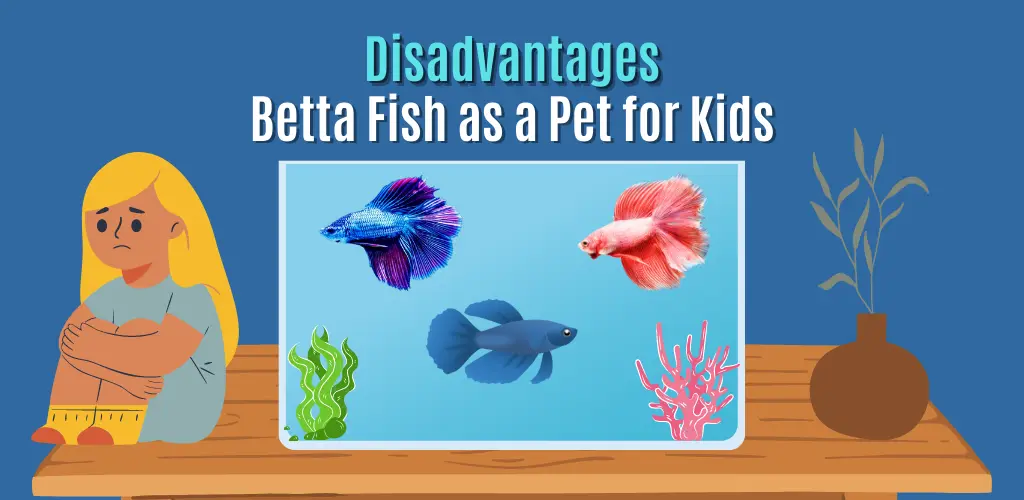 Disadvantages of Betta Fish as a Pet for Kids