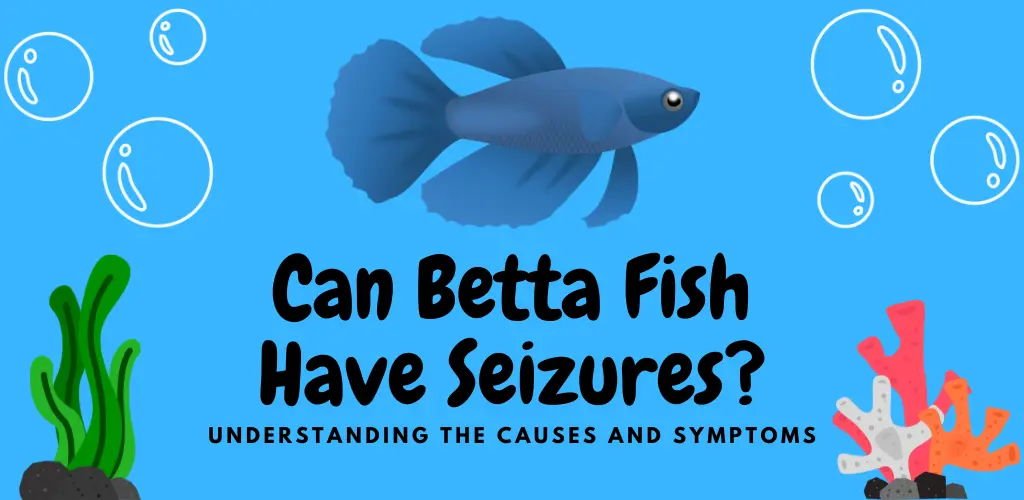 Can Betta Fish Have Seizures? Understanding the Causes and Symptoms