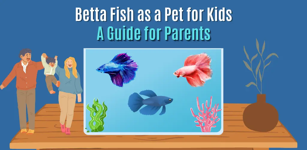 Betta Fish as a Pet for Kids A Guide for Parents