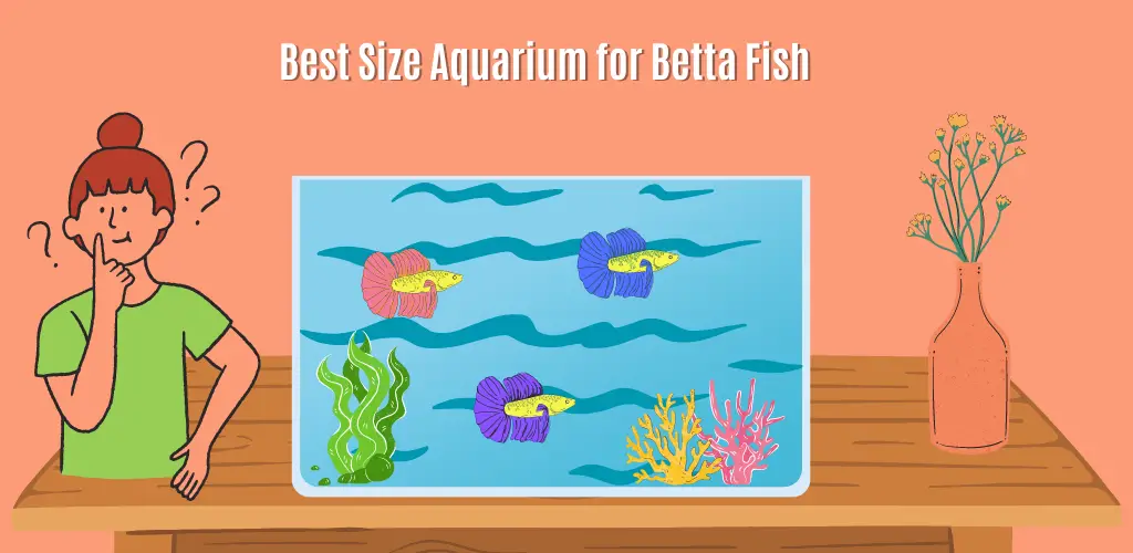 Best Size Aquarium for Betta Fish